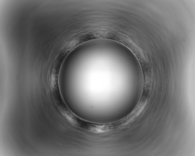 X0000087630130200705101035