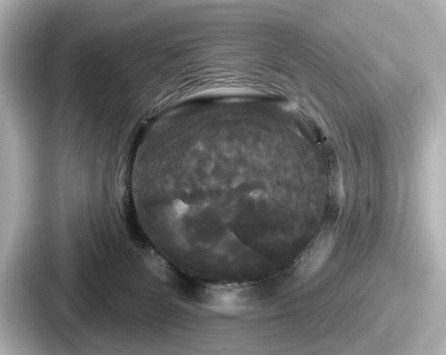 X0000087630131200705101035