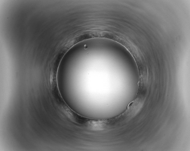 X0000087630134200705101035