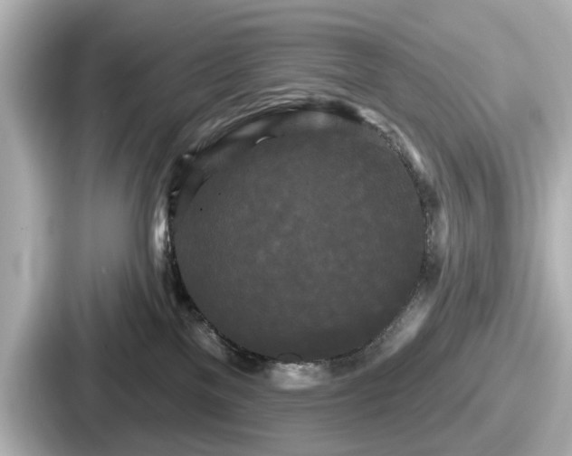 X0000087630137200705101035