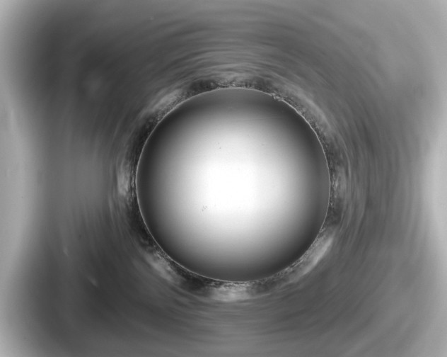 X0000087630138200705101035