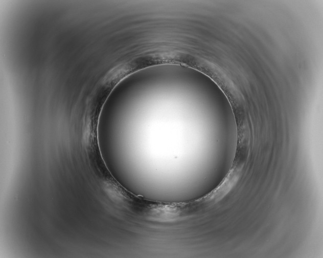 X0000087630140200705101035