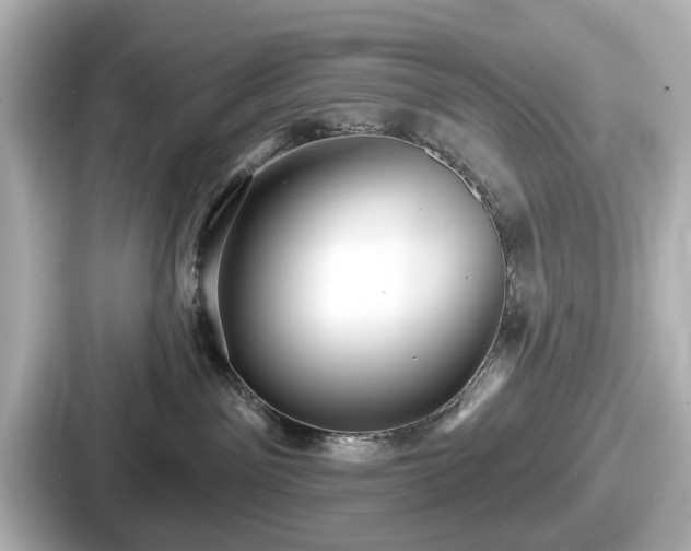 X0000087630141200705101035