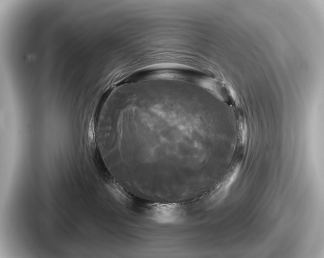 X0000087630143200705101035