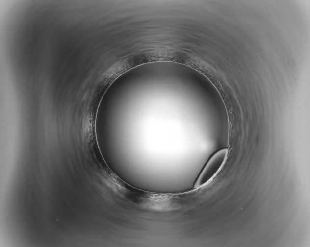 X0000087630144200705101035