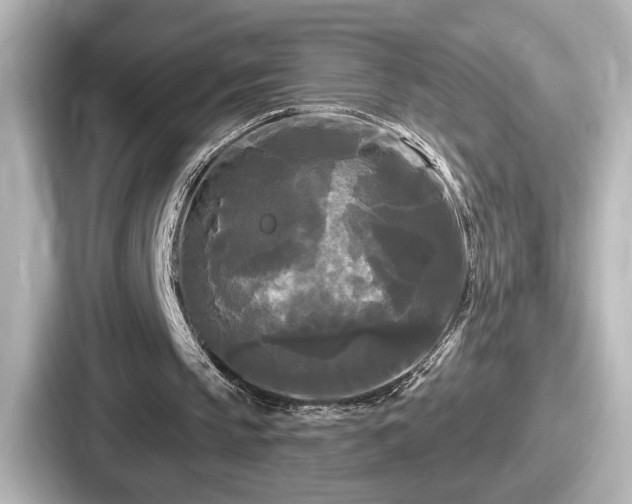 X0000087630145200705101034