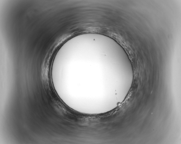 X0000087630146200705101034