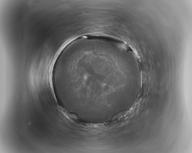 X0000087630147200705101034