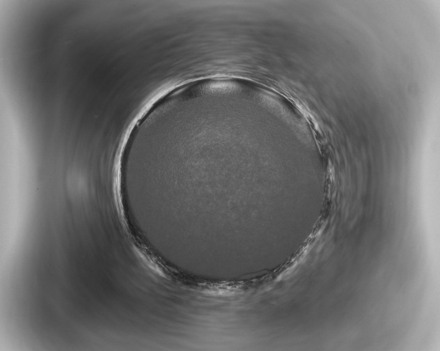 X0000087630148200705101034