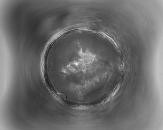 X0000087630149200705101034