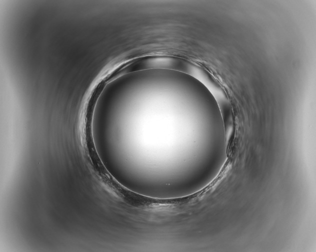 X0000087630150200705101034