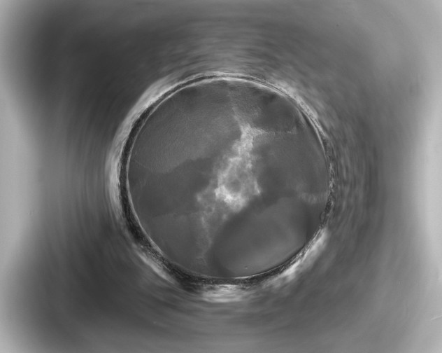 X0000087630151200705101034