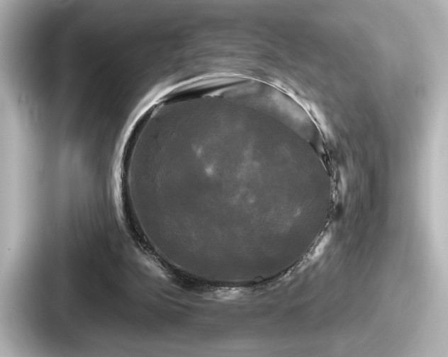 X0000087630152200705101034