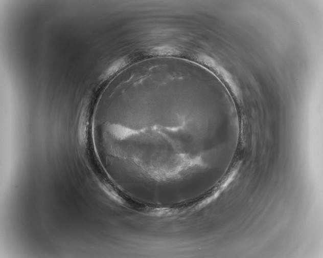 X0000087630153200705101034