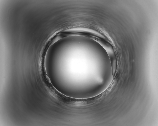 X0000087630154200705101034