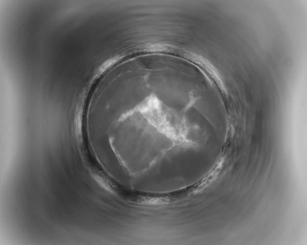 X0000087630155200705101034