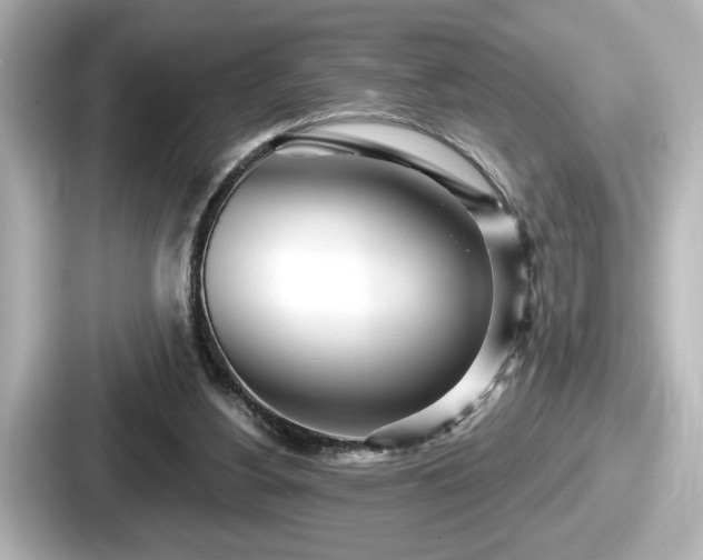 X0000087630156200705101034