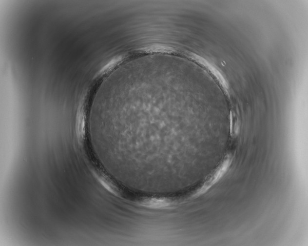 X0000087630157200705101034