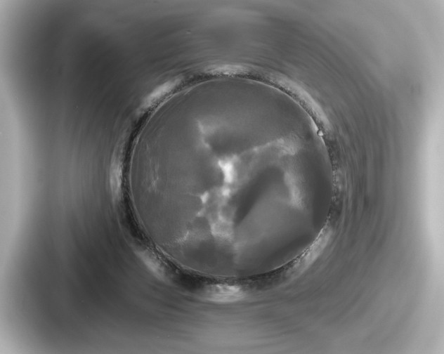 X0000087630159200705101034