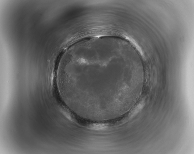 X0000087630161200705101034