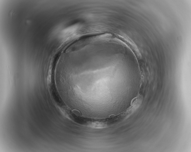 X0000087630163200705101035