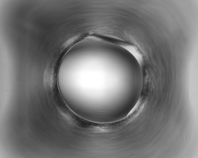 X0000087630164200705101035