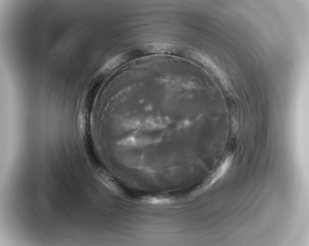 X0000087630165200705101035