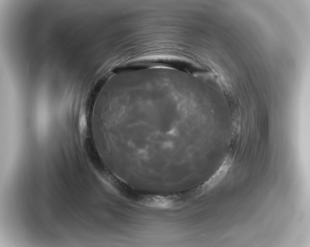 X0000087630166200705101035