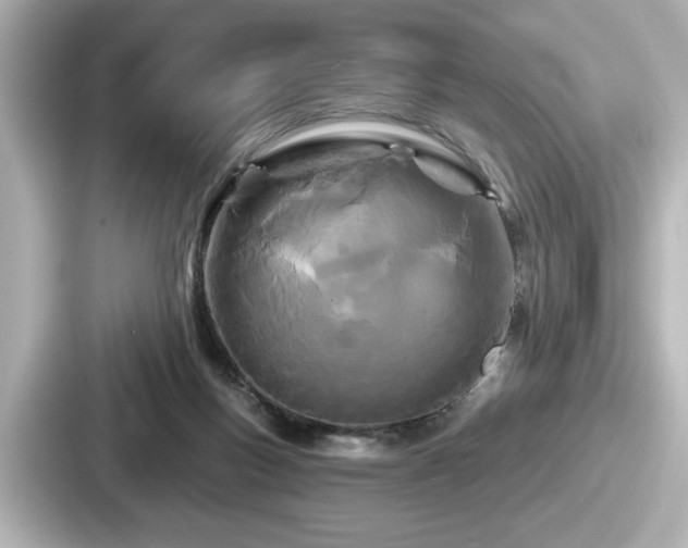 X0000087630167200705101035