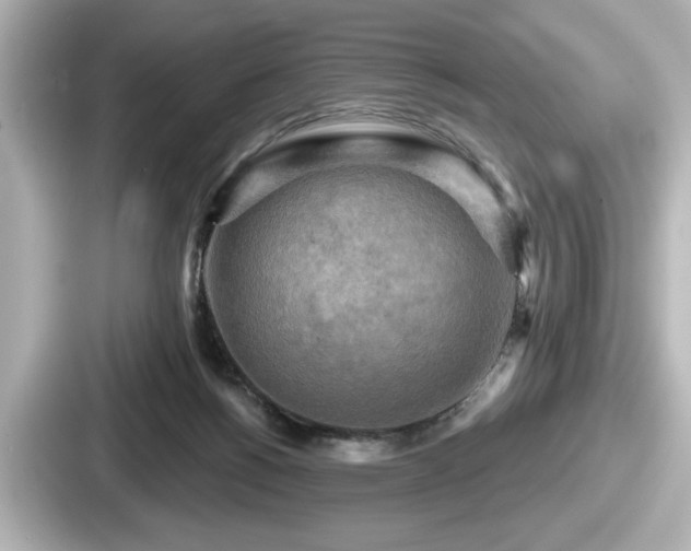 X0000087630168200705101035