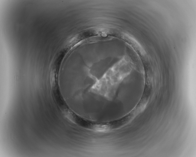 X0000087630169200705101035