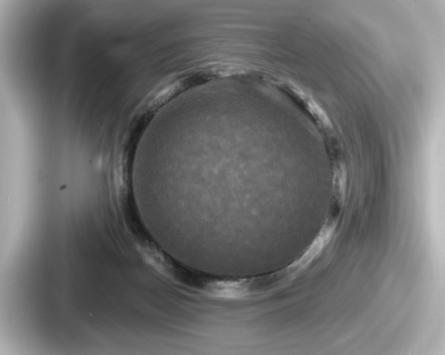 X0000087630170200705101035