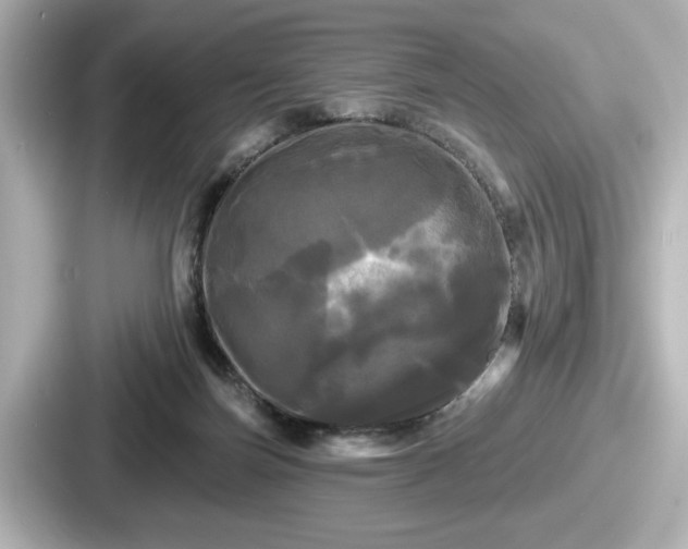 X0000087630171200705101035