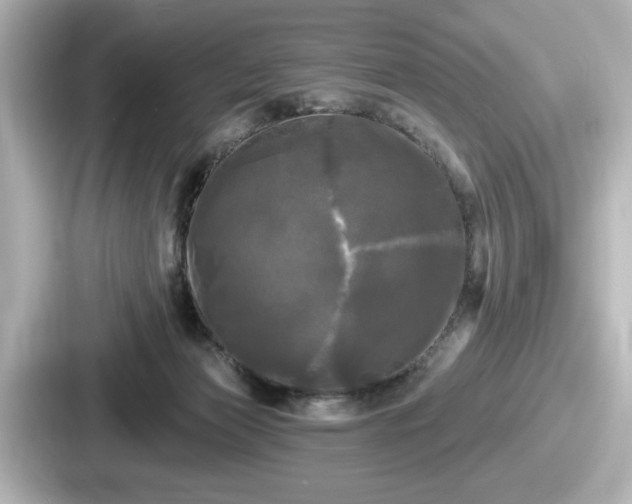 X0000087630173200705101035