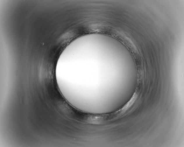 X0000087630174200705101035