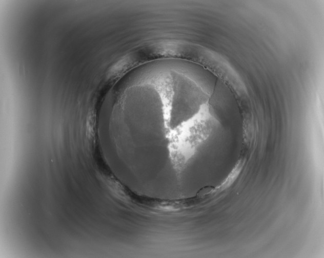 X0000087630175200705101035