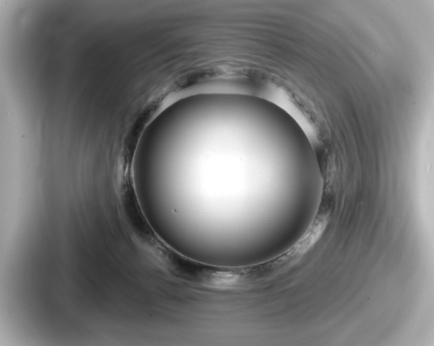 X0000087630176200705101035