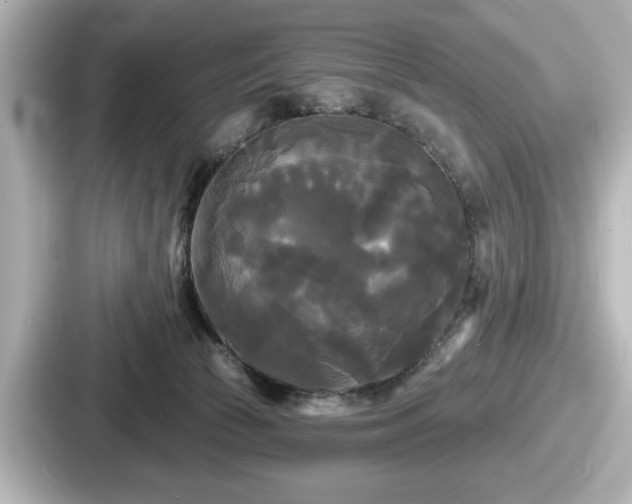 X0000087630177200705101035