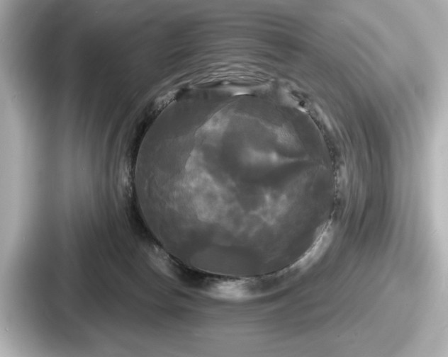 X0000087630178200705101035