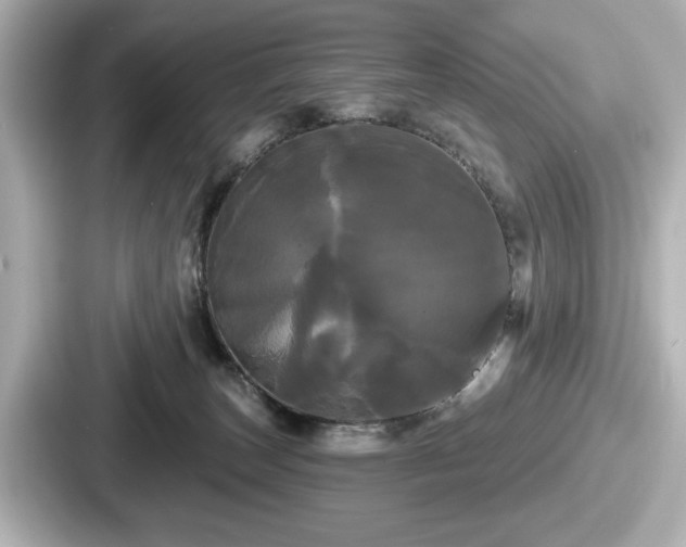 X0000087630179200705101035