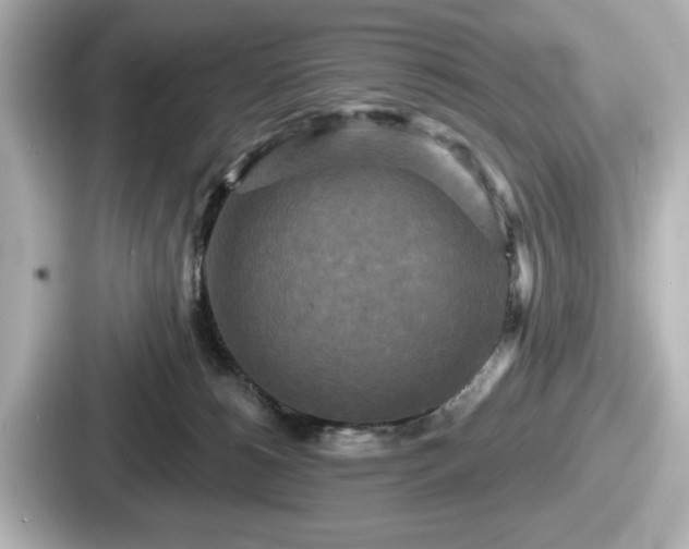 X0000087630180200705101035