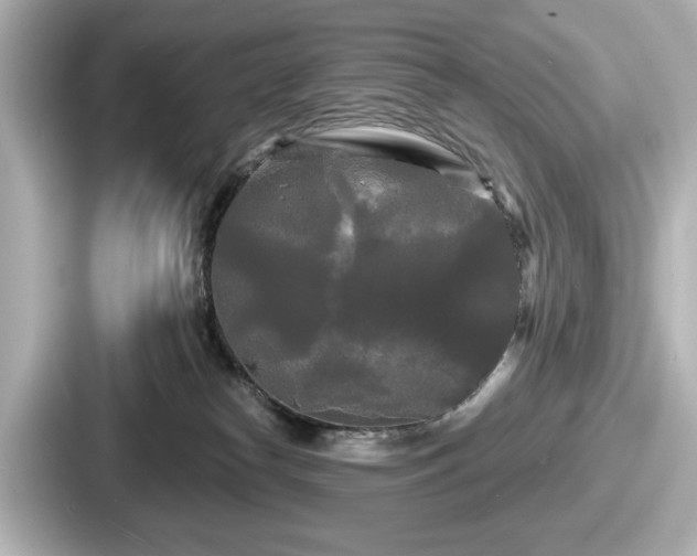 X0000087630182200705101035