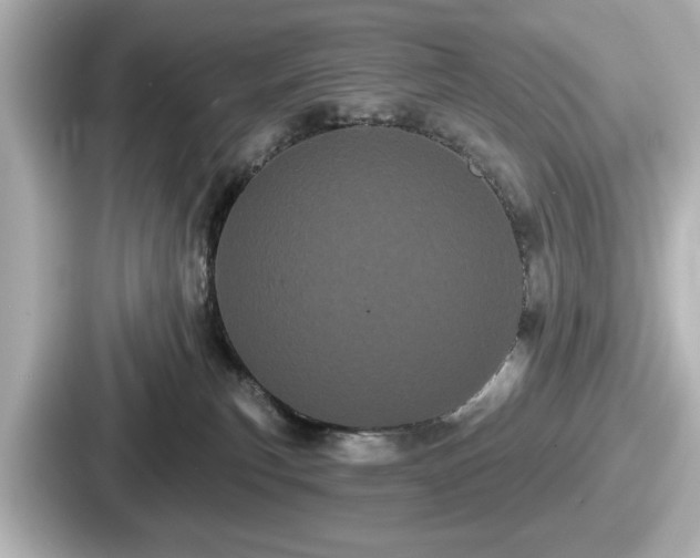 X0000087630183200705101035