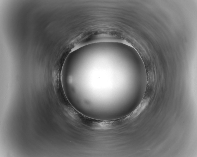 X0000087630184200705101035