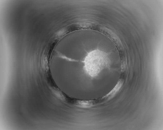 X0000087630187200705101035