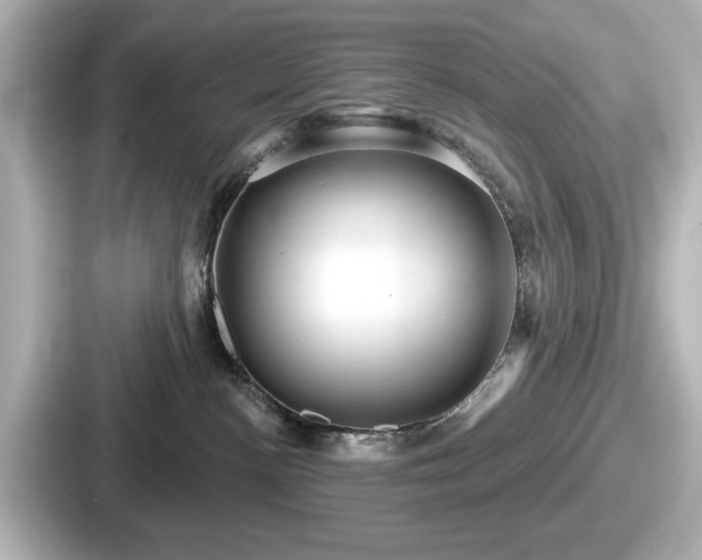 X0000087630188200705101035