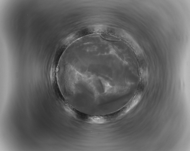 X0000087630189200705101035