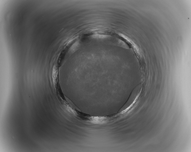 X0000087630192200705101035