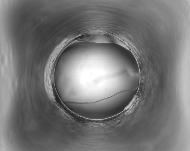 X0000087630193200705101034