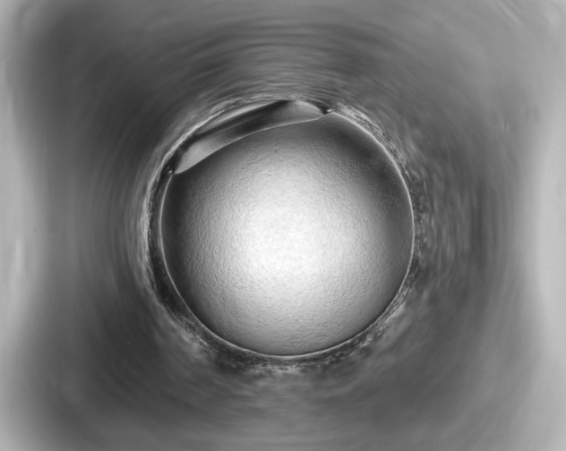 X0000087630194200705101034